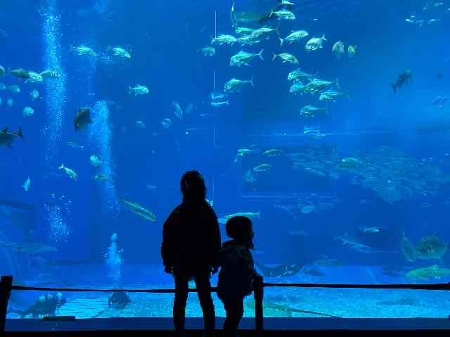 美ら海水族館