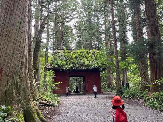 戸隠神社奥社