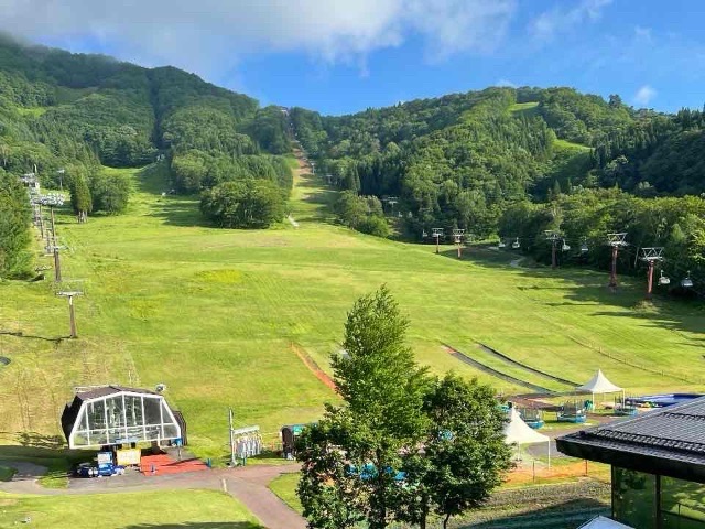 新緑が気持ち良い斑尾高原
