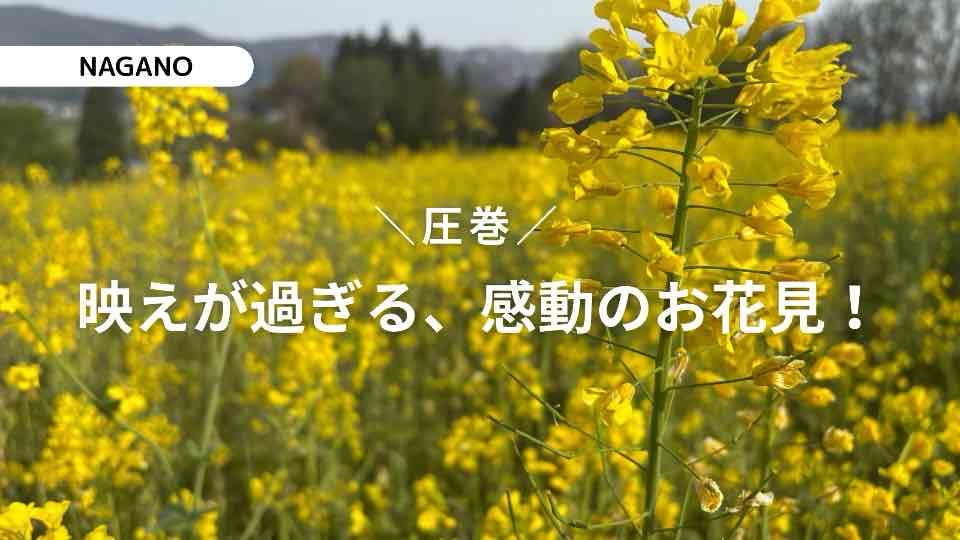 飯山菜の花公園