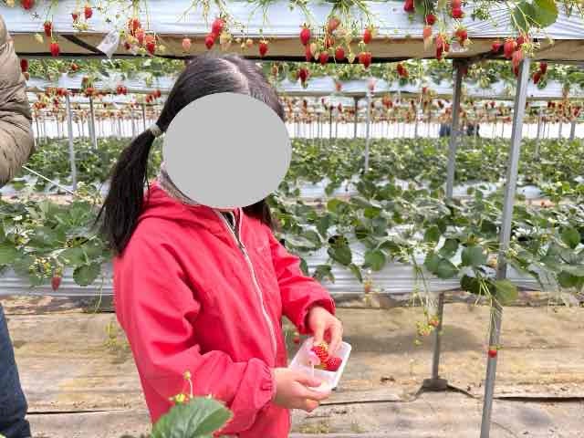 自分で食べる子ども