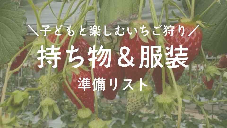 いちご狩りの持ち物＆服装ガイド