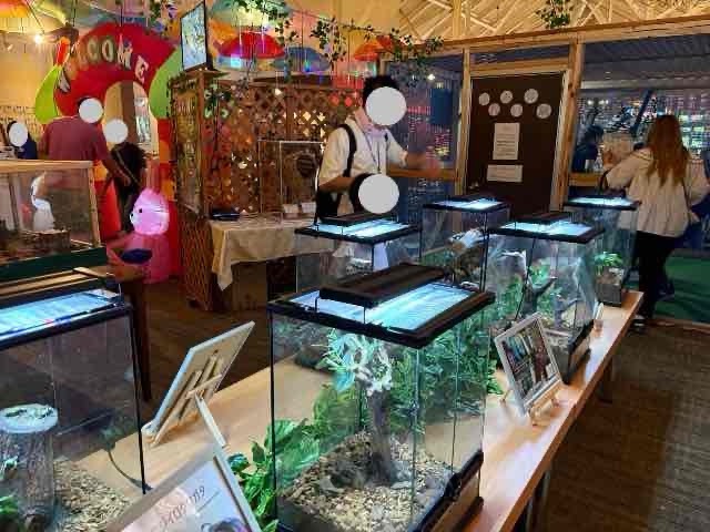 ふれあい昆虫展