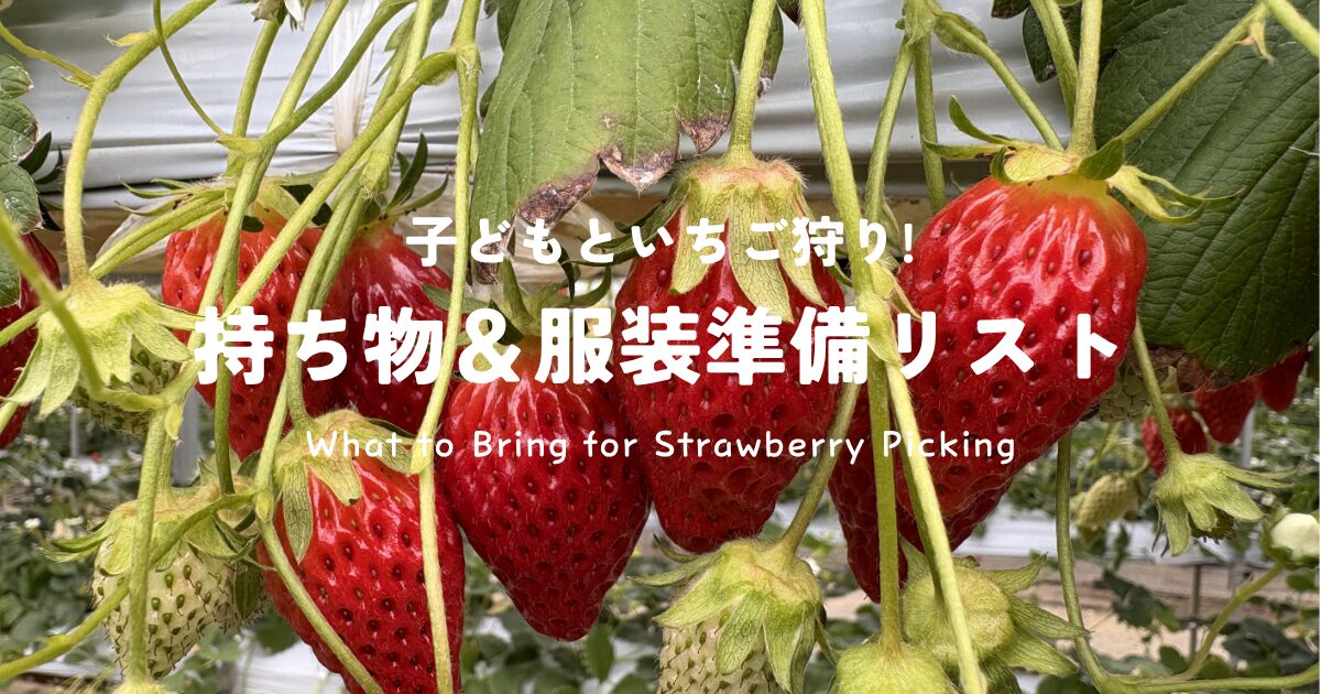 いちご狩り持ち物リスト