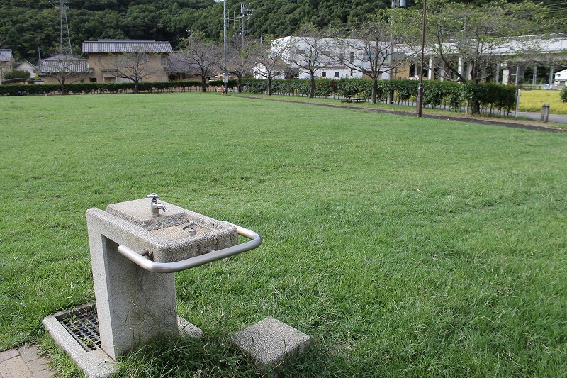 青々と茂った夏の芝生広場