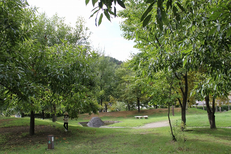 新緑がきれいな夏の公園