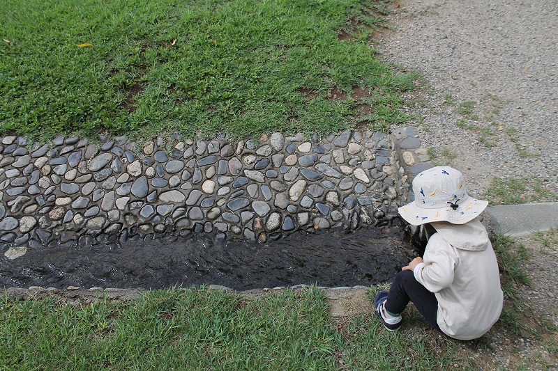 夏場は公園内に小川が出来る
