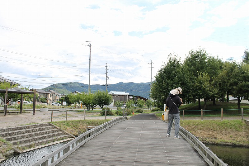 夏の夕方の公園って少し寂しい