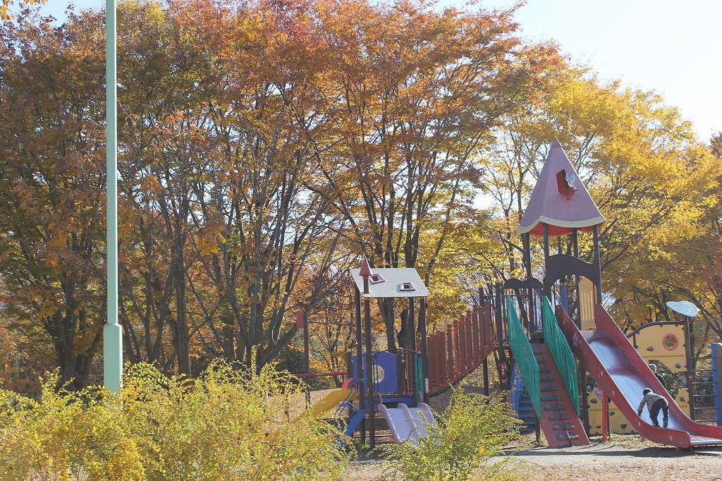 紅葉がきれいな更埴中央公園