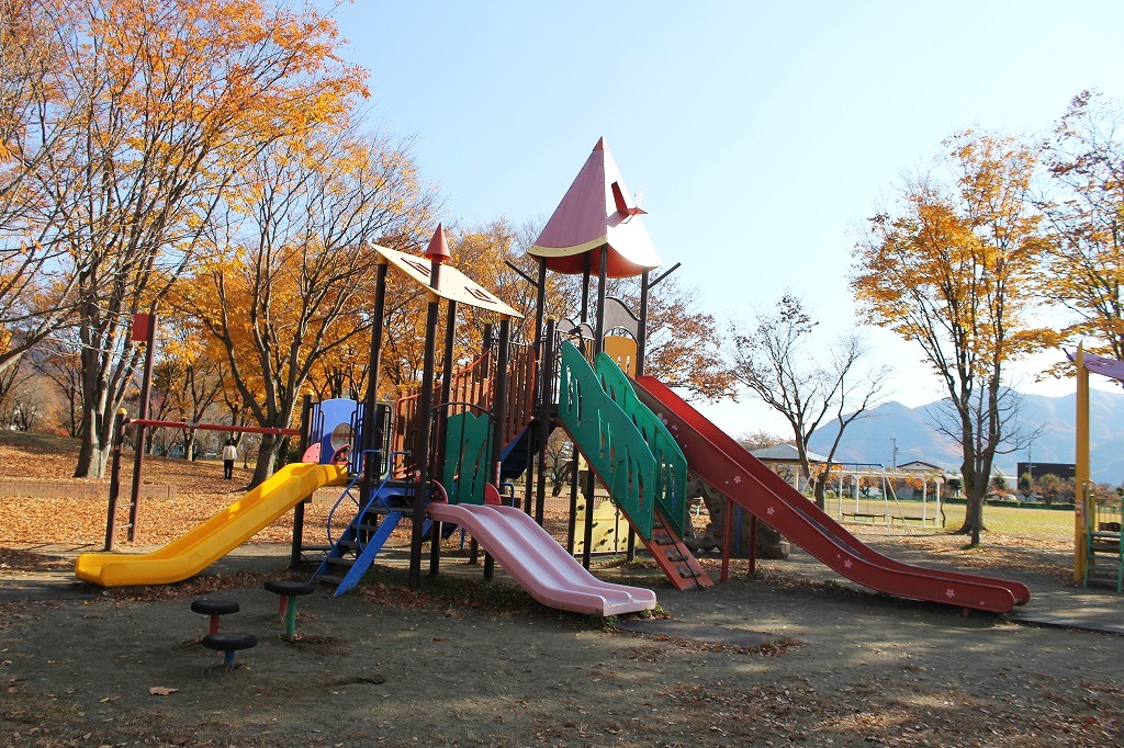 複合遊具の全体