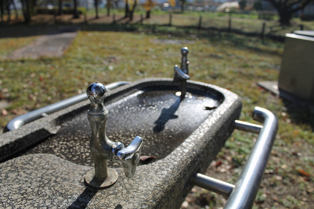 水飲み場