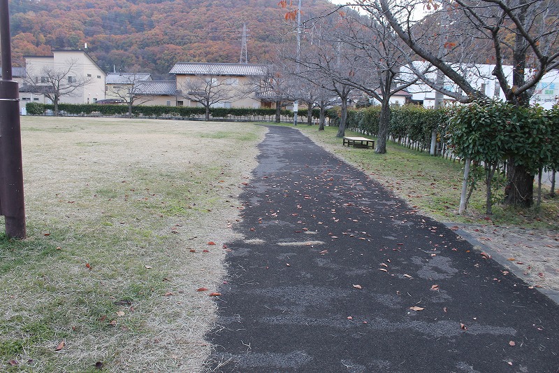 ゴム舗装になって歩きやすい遊歩道