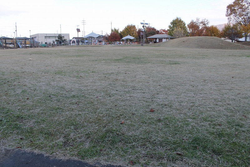 秋色になっている芝生広場