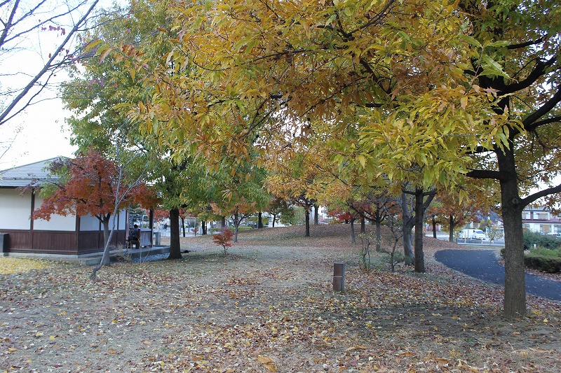 どんぐりの気がいっぱいあります