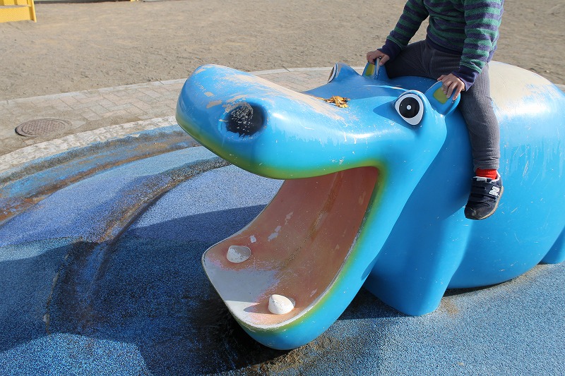 カバさんにまたがって遊ぶ息子