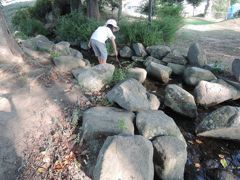 沢で遊ぶ子ども達、花緑コミュニティパーク