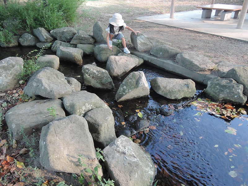 花緑コミュニティパーク、夏の沢散策