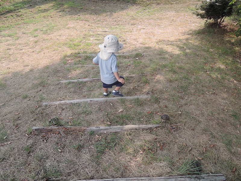 花緑コミュニティパーク、丘には階段も