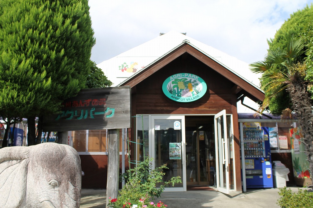あんずの里アグリパーク、店舗前