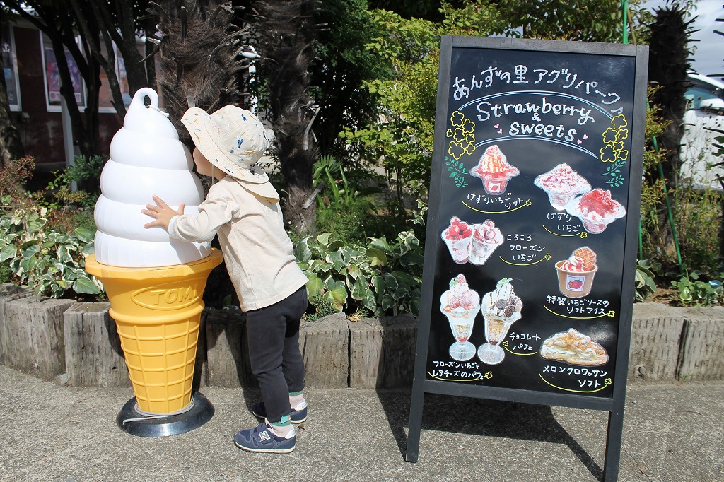 あんずの里アグリパークのけずりいちご