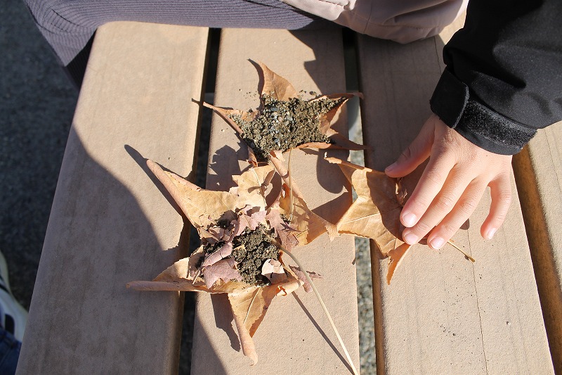 小船山公園、葉っぱでお料理