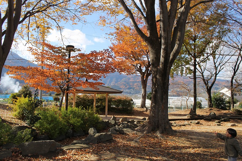 花緑コミュニティパーク、秋色の公園内
