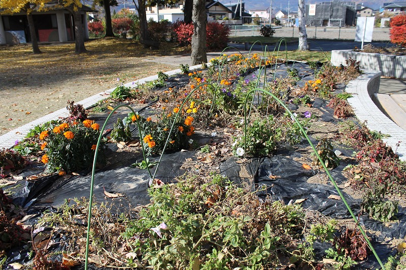 花緑コミュニティパーク、冬の花壇