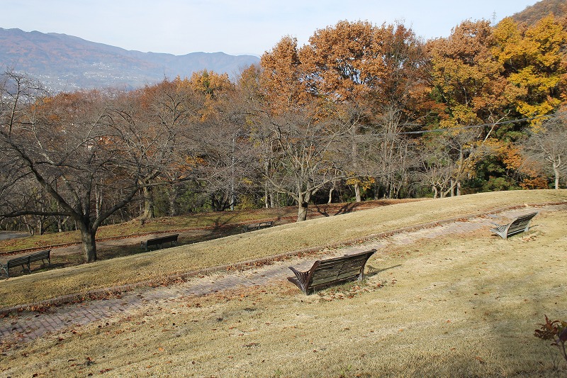 サクラケアパーク、ベンチ