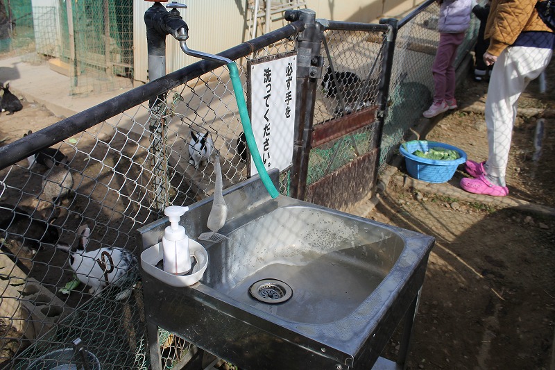 サクラケアパーク、ウサギ小屋