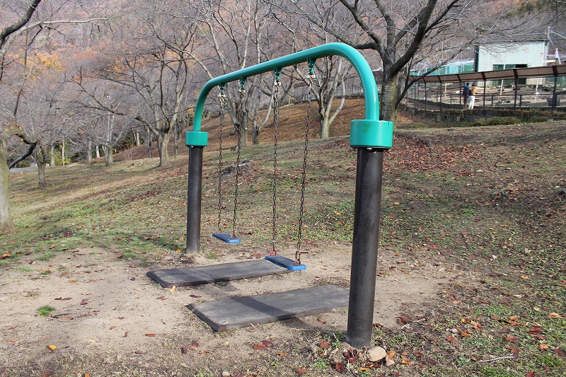 サクラケアパーク、ブランコ