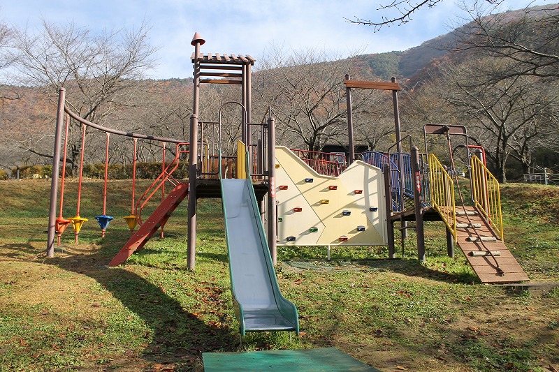 サクラケアパーク、複合遊具