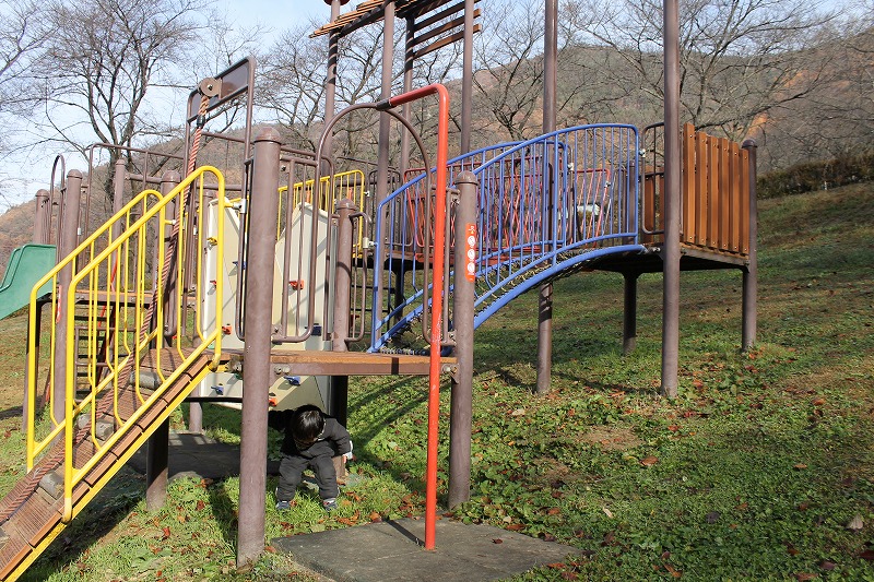 サクラケアパーク、複合遊具、登り棒