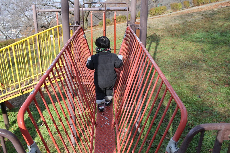 サクラケアパーク、複合遊具