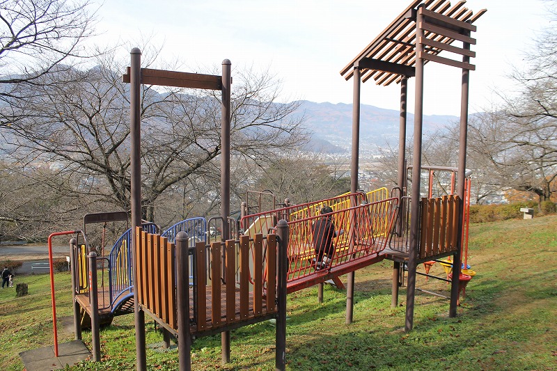 サクラケアパーク、複合遊具