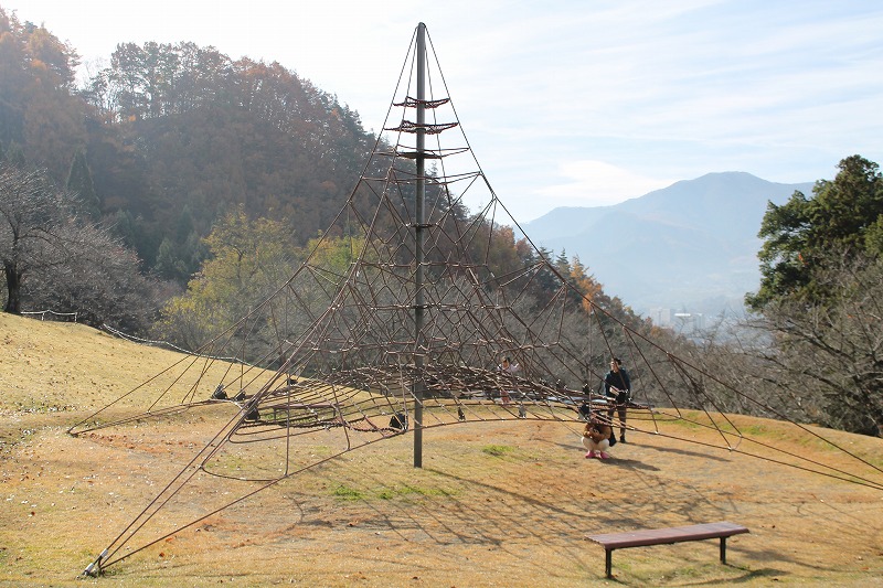 サクラケアパーク、ネットロープクライマー