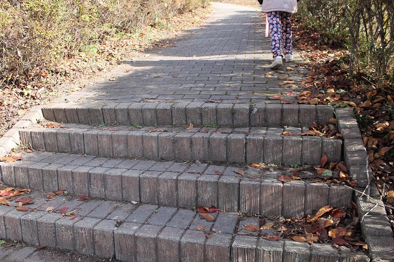 サクラケアパーク、公園全体が斜面