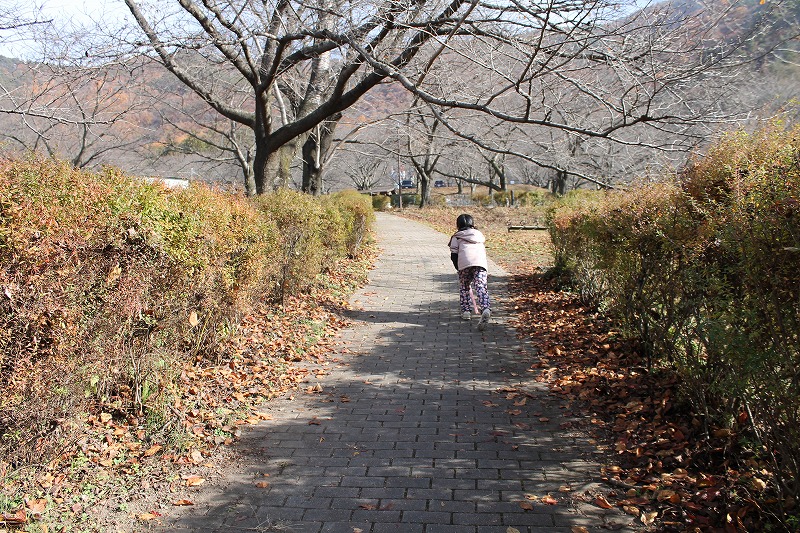 サクラケアパーク、公園全体が斜面