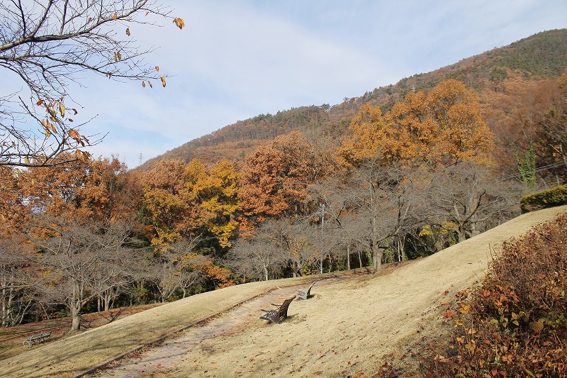 サクラケアパーク、公園は芝生が整備されている