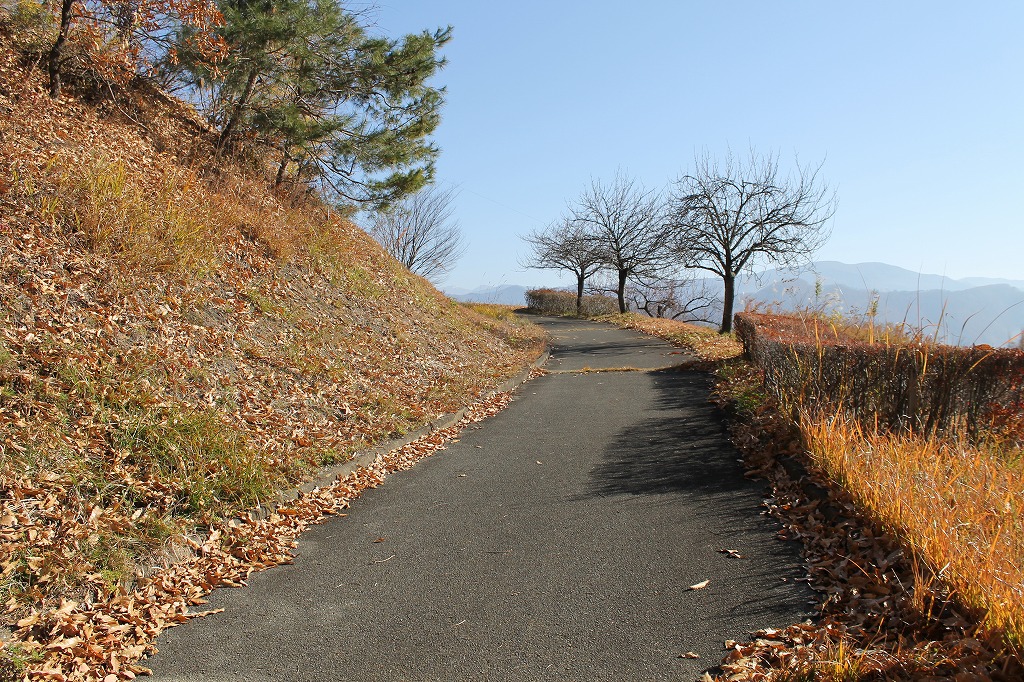 公園内でさらに高台を目指します
