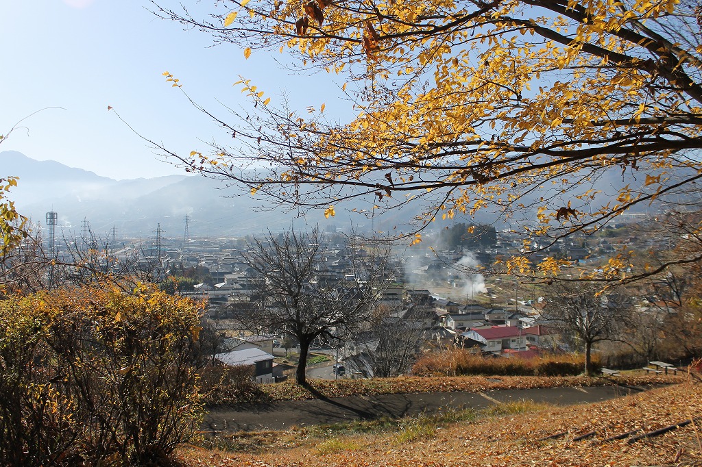 展望デッキからの眺め、稲荷山公園