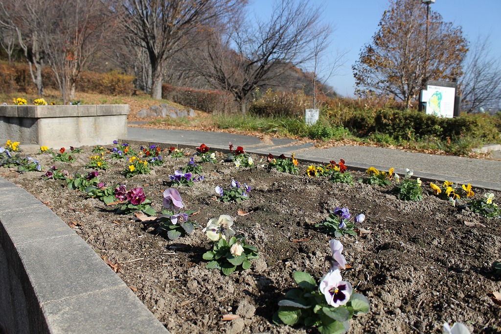 花壇も整備されています