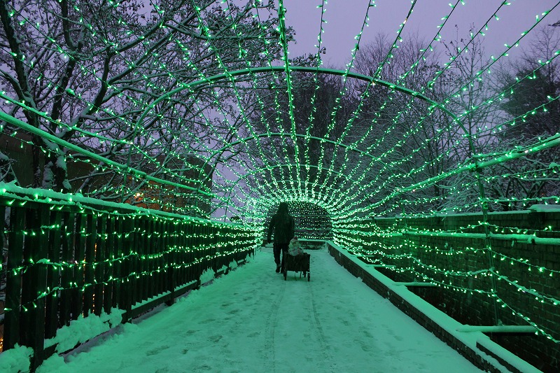 国営アルプスあづみの公園のイルミネーションのトンネル