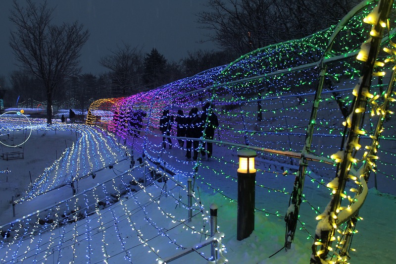 国営アルプスあづみの公園のオーロラの道の全体