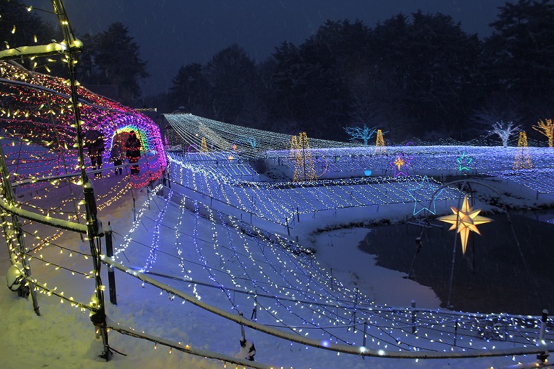 国営アルプスあづみの公園の美しいオーロラの道
