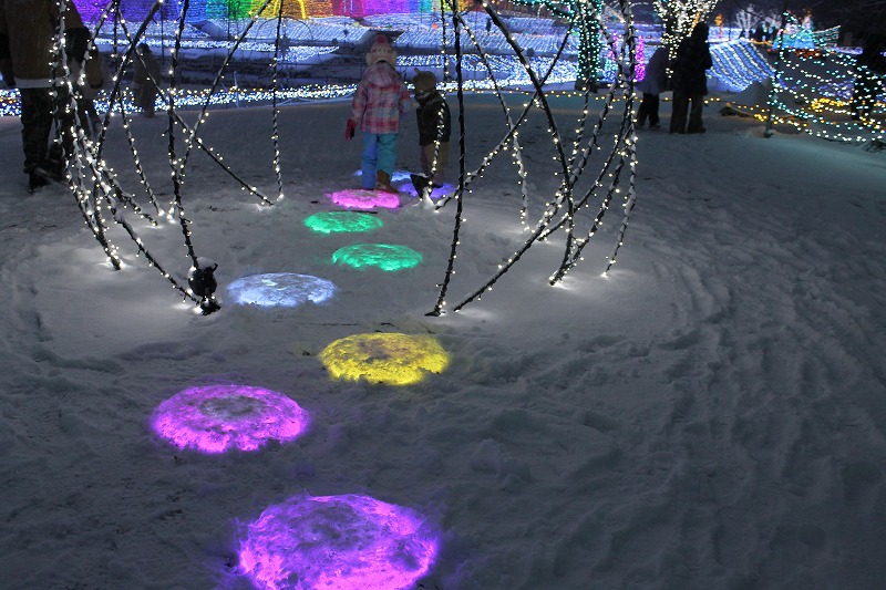 国営アルプスあづみの公園の仕掛けのあるイルミネーション