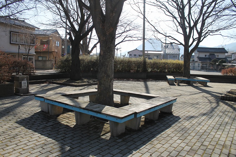 上山田中央公園の木の周りのベンチ