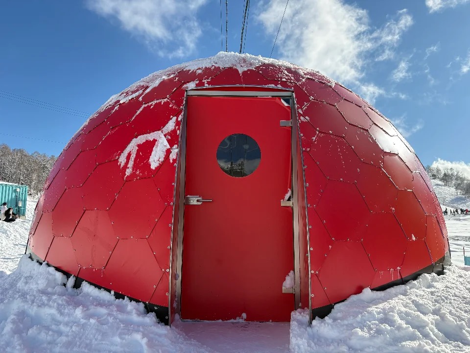 ポケモンスノーアドベンチャーのモンスターボールの外観