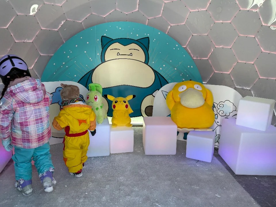 ポケモンスノーアドベンチャーのモンスターボールの中の様子