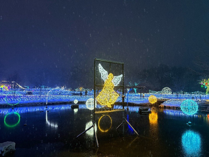 国営アルプスあづみの公園の星のはじまりの様子