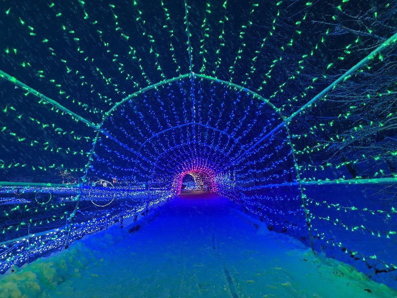 国営アルプスあづみの公園のオーロラの道の様子